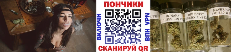 Бошки марихуана Amnesia  Шимановск 